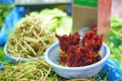 在中国，这种蔬菜才是财务“自由”的味道